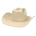 Santos - Ivory
